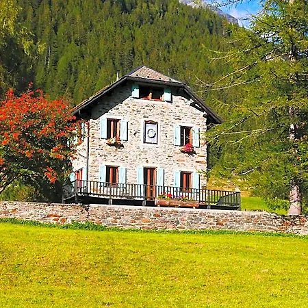 Il Cortese