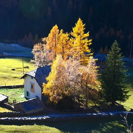 Bed & Breakfast Il Cortese
