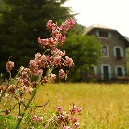 Bed & Breakfast Il Cortese Chiareggio